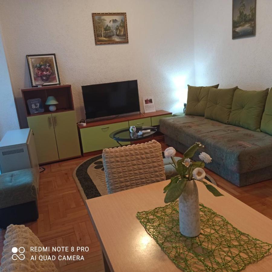 Apartman Radicevic Vrnjačka Banja エクステリア 写真